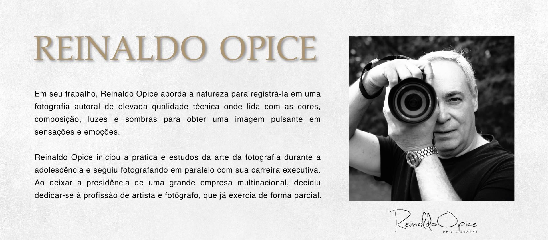 Reinaldo Opice