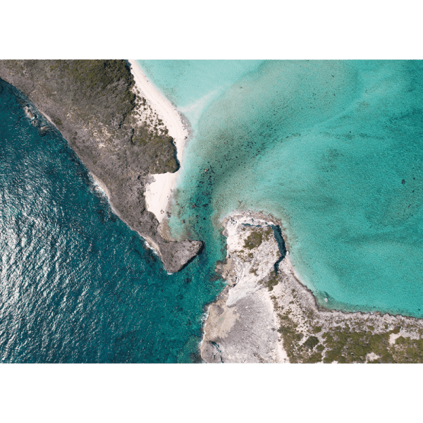 QUADRO DECORATIVO VOZ DOS OCEANOS -EXPOSIÇÃO DO RIO AO MAR  - CONCEPTION ISLAND 