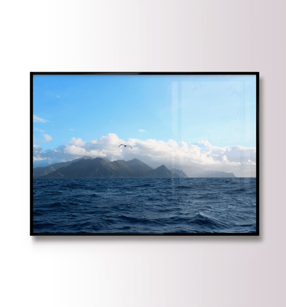 QUADRO DECORATIVO VOZ DOS OCEANOS - EXPOSIÇÃO DO RIO AO MAR - TRAVESSIA AMAZONAS TORTOLA