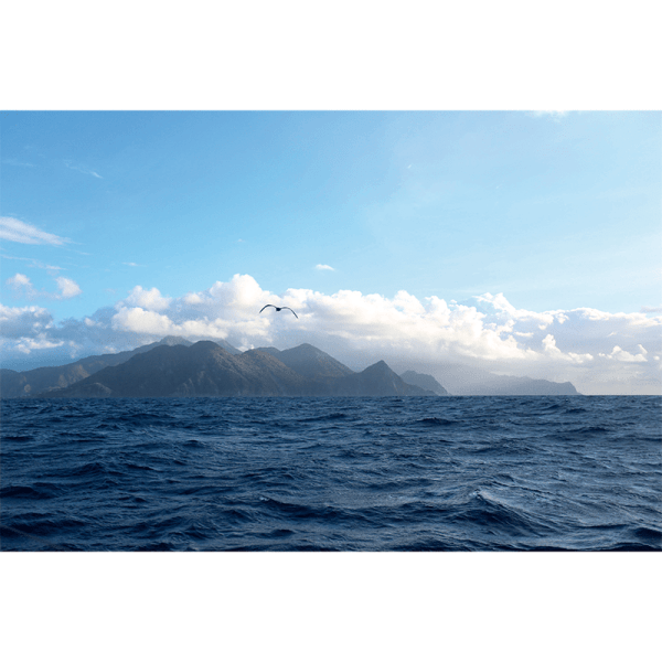 QUADRO DECORATIVO VOZ DOS OCEANOS - EXPOSIÇÃO DO RIO AO MAR - TRAVESSIA AMAZONAS TORTOLA