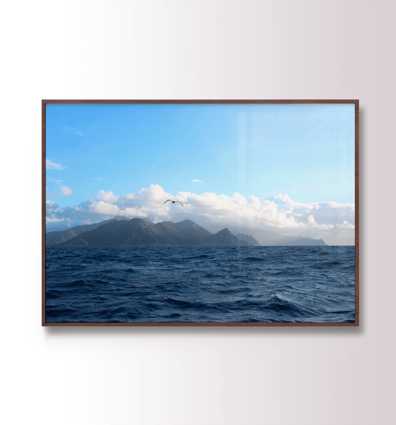 QUADRO DECORATIVO VOZ DOS OCEANOS - EXPOSIÇÃO DO RIO AO MAR - TRAVESSIA AMAZONAS TORTOLA