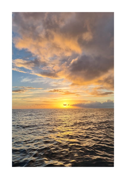 Poster A4 - Exposição do Rio ao Mar