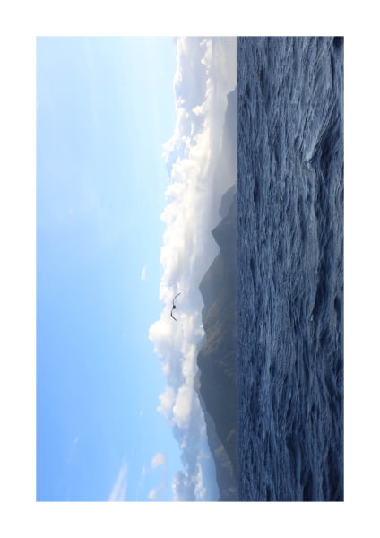 Poster A4 - Exposição do Rio ao Mar