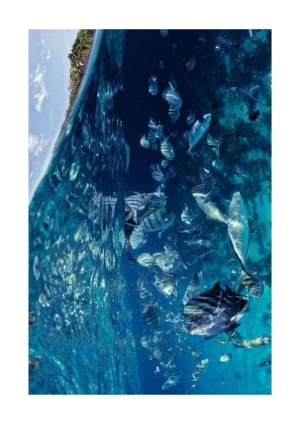 Poster A4 - Exposição do Rio ao Mar